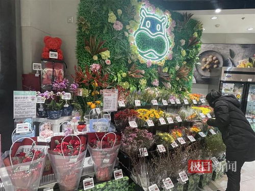 鮮花消費日常化趨勢明顯，武漢時令春花綻放新商機